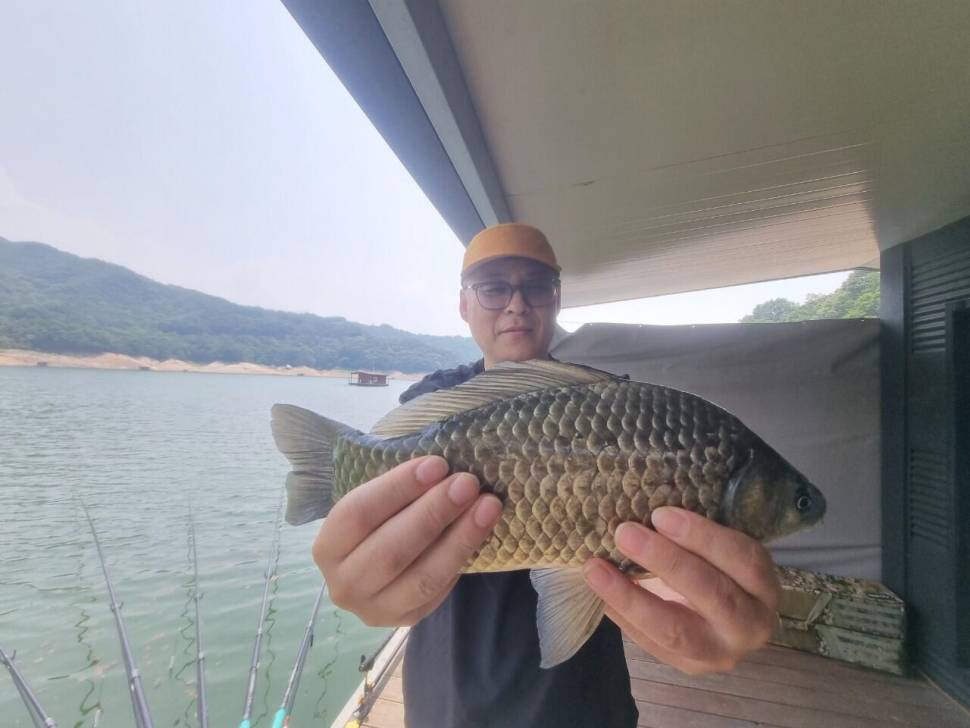 솔낚시터 사짜 월척 준척 허릿급 … 골고루조황소식요 (조황조행기 - 충주호조황속보)
