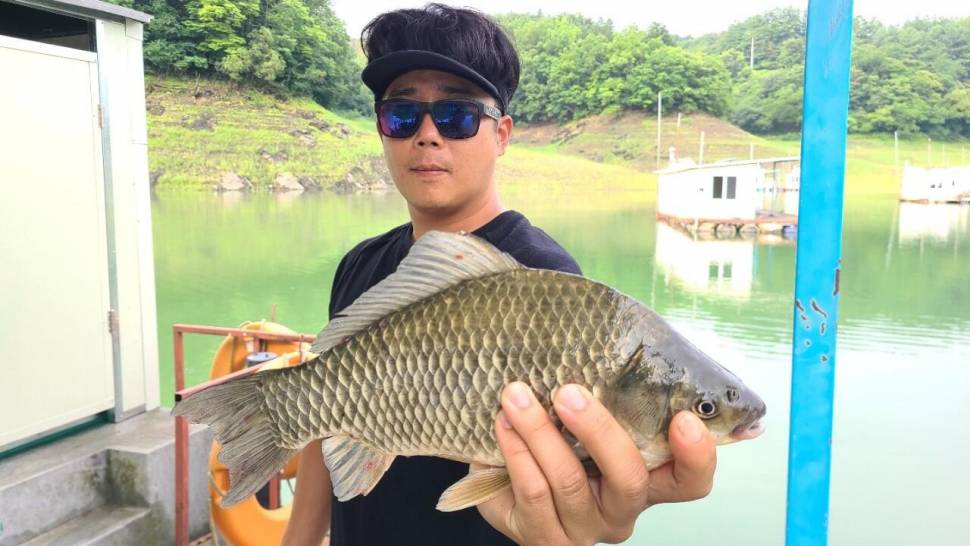 신매낚시터 7월 6일조황 (조황조행기 - 충주호조황속보)