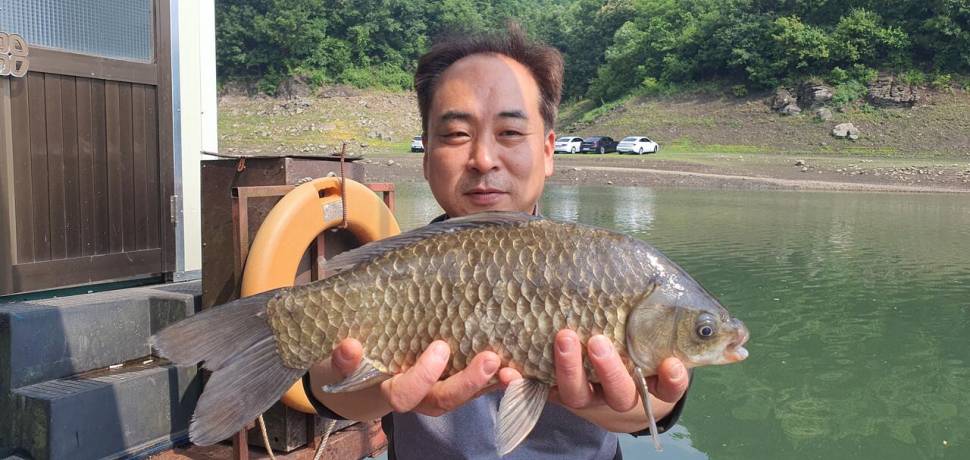 신매낚시터 6월 11일조황 (조황조행기 - 충주호조황속보)