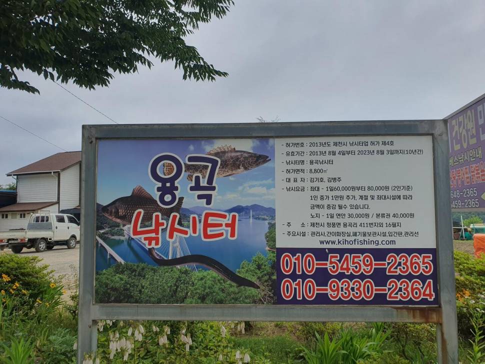 용곡 김기호 낚시터 조황정보 입니다 (조황조행기 - 충주호조황속보)