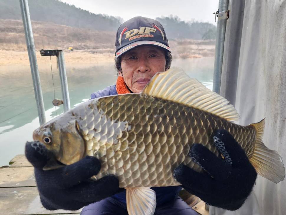 청풍 한버들 4짜및 허릿급 조황입니다 (조황조행기 - 충주호조황속보)