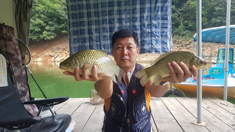 청풍호 한버들 조황입니다 (조황조행기 - 충주호조황속보)