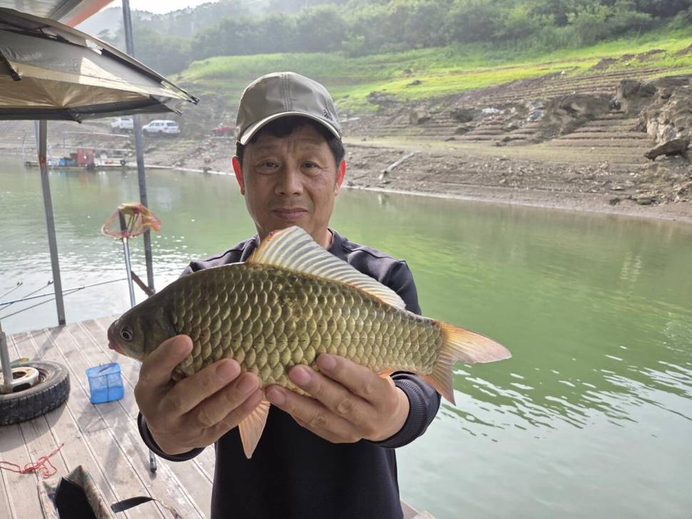 청풍 실리곡낚시터 41cm 조황입니다 (조황조행기 - 충주호조황속보)