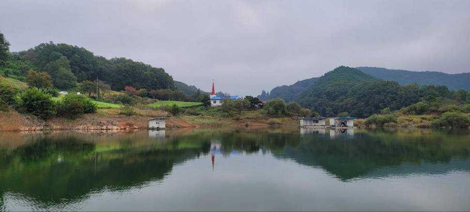 청풍신리낚시터 허리급 조황입니다 (조황조행기 - 충주호조황속보)