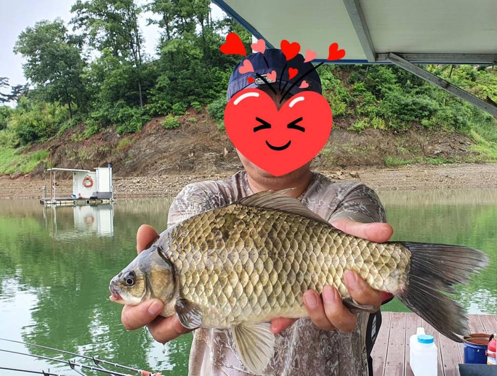 청풍신리낚시터 415cm 조황정보입니다 (조황조행기 - 충주호조황속보)