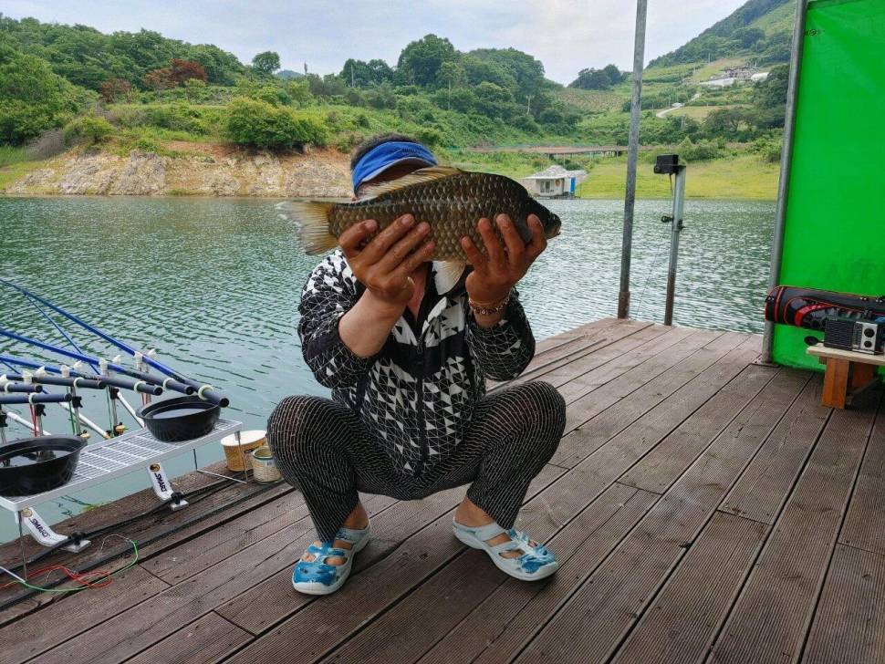 김기호낚시터 허리급 조황 안내 (조황조행기 - 충주호조황속보)