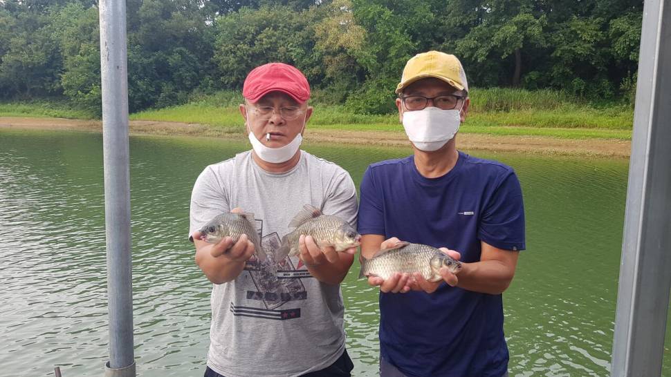 한버들 조황입니다 (조황조행기 - 충주호조황속보)