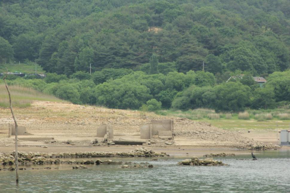 솔낚시터 사짜 조황소식입니다 (조황조행기 - 충주호조황속보)
