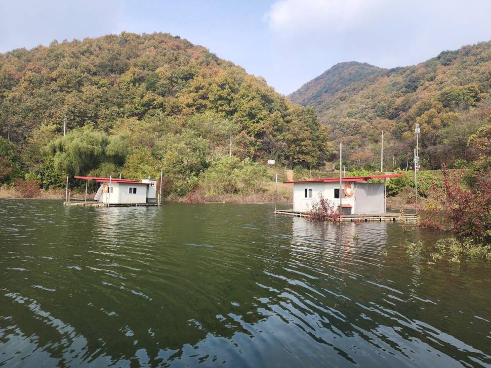 청풍 한버들 조황입니다 (조황조행기 - 충주호조황속보)
