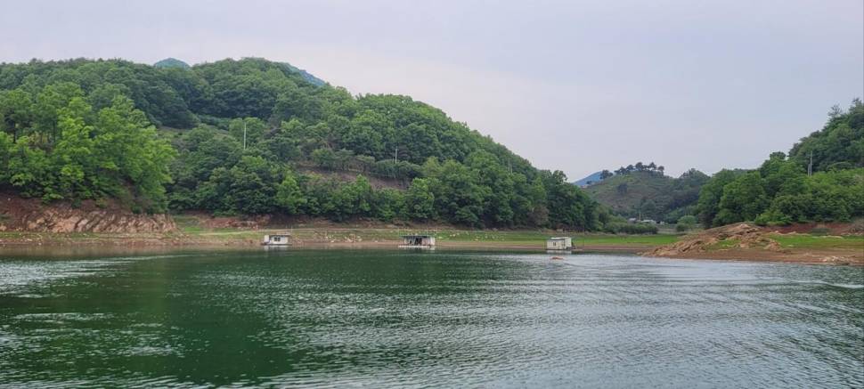 청풍신리낚시터 허리급입니다 (조황조행기 - 충주호조황속보)