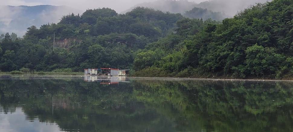 실리곡낚시터 허리급 조황입니다 (조황조행기 - 충주호조황속보)