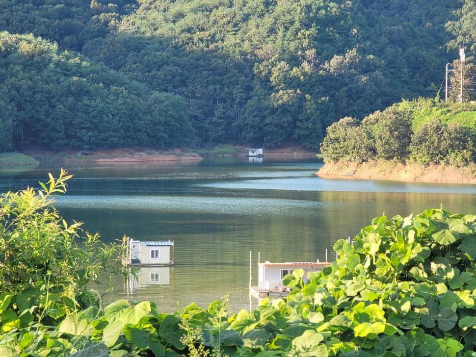 실리곡낚시터 허리급 조황입니다 (조황조행기 - 충주호조황속보)