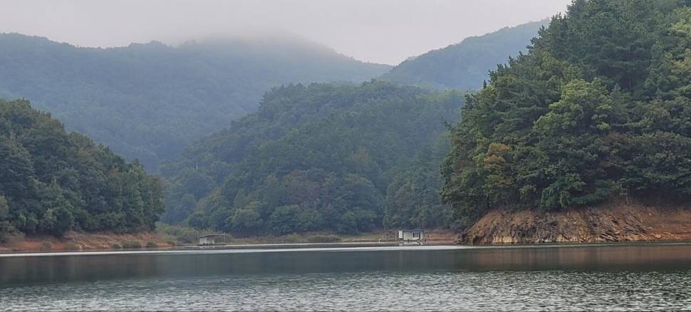 청풍신리낚시터 허리급 조황입니다 (조황조행기 - 충주호조황속보)