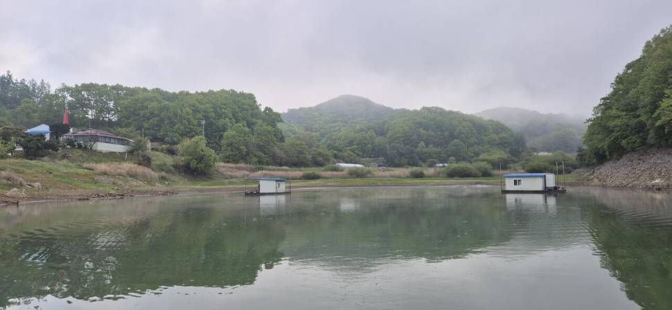 청풍신리낚시터 주말조황입니다 (조황조행기 - 충주호조황속보)