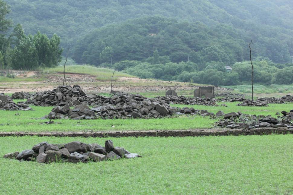 솔낚시터 오름수위 조황입니다 (조황조행기 - 충주호조황속보)