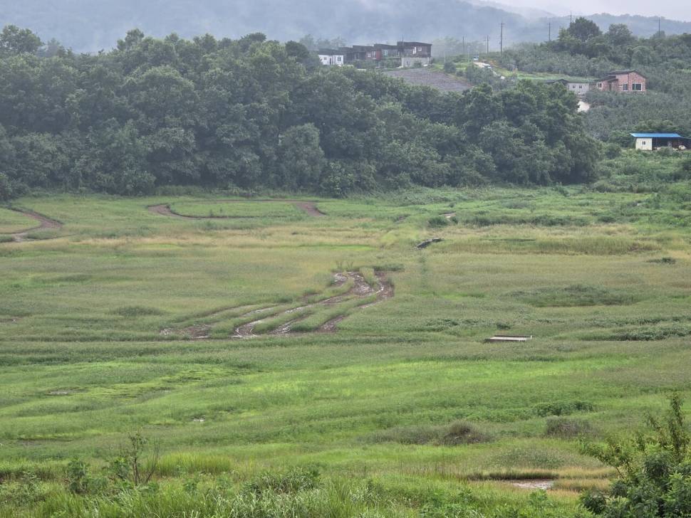 청풍 한버들 조황입니다 (조황조행기 - 충주호조황속보)