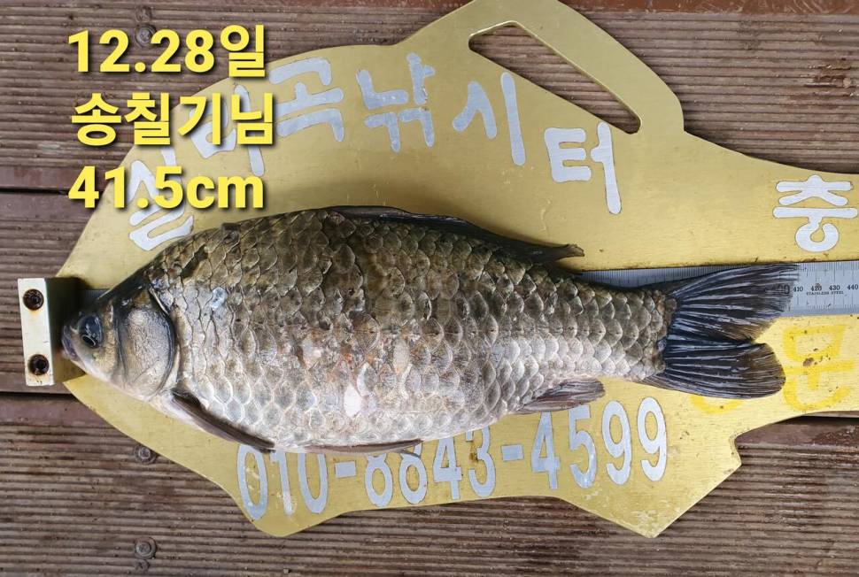 실리곡낚시터 44cm 대물 조황입니다 (조황조행기 - 충주호조황속보)