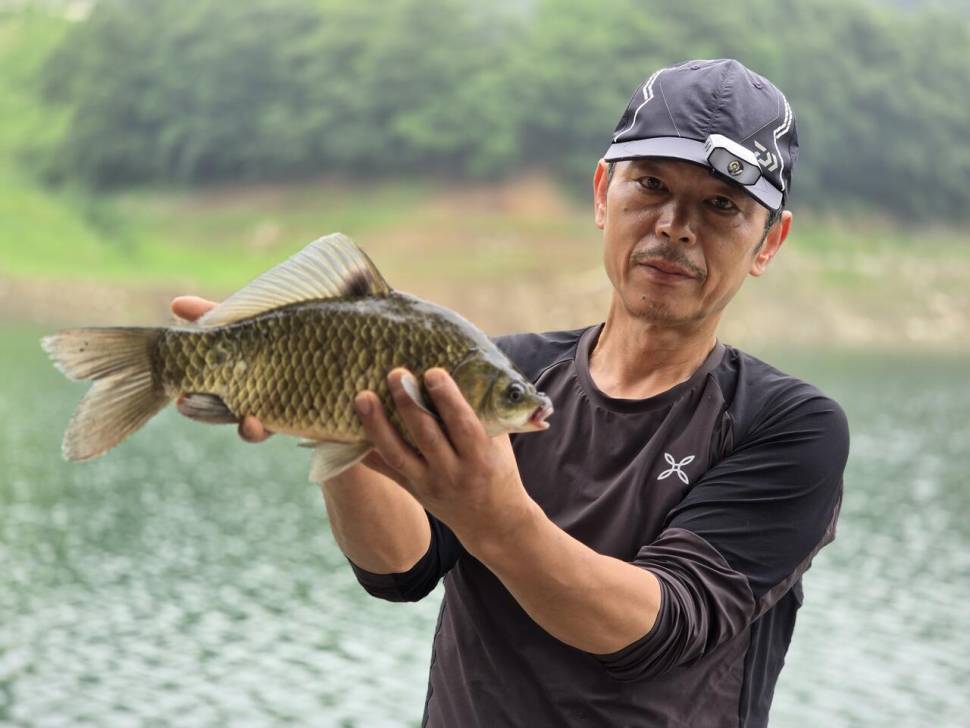 목벌조황정보 (조황조행기 - 충주호조황속보)