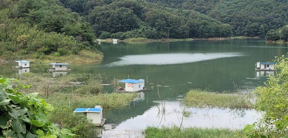 실리곡낚시터 조황입니다 (조황조행기 - 충주호조황속보)