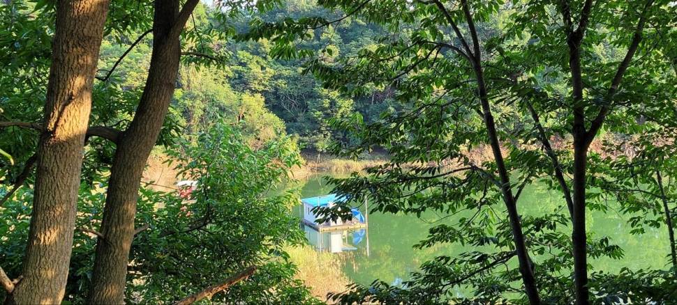 청풍신리낚시터 조황정보입니다 (조황조행기 - 충주호조황속보)