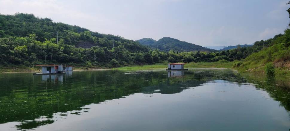 청풍 실리곡낚시터 4짜 조황입니다 (조황조행기 - 충주호조황속보)