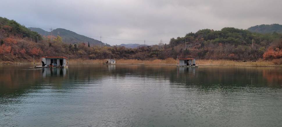 실리곡낚시터 조황입니다 (조황조행기 - 충주호조황속보)