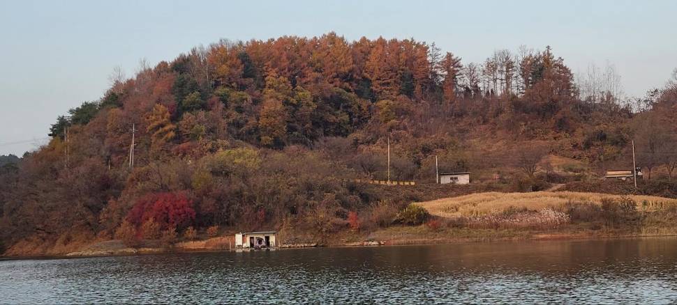청풍신리낚시터 허리급입니다 (조황조행기 - 충주호조황속보)