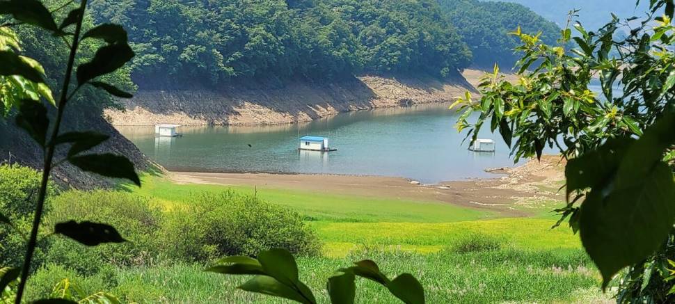 청풍신리낚시터 4짜외 허리급입니다 (조황조행기 - 충주호조황속보)