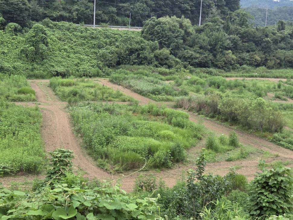 청풍 실리곡낚시터 조황입니다 (조황조행기 - 충주호조황속보)