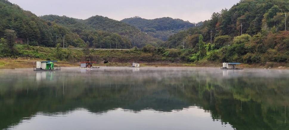실리곡낚시터 허리급 조황입니다 (조황조행기 - 충주호조황속보)