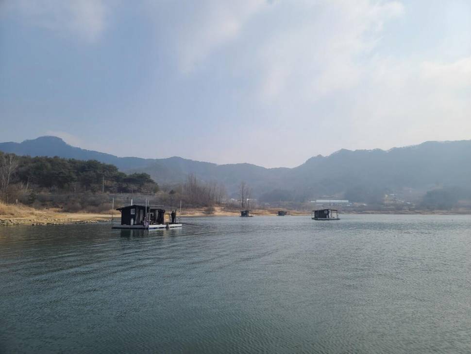 솔낚시터 사짜 허리급 조황소식입니다 (조황조행기 - 충주호조황속보)