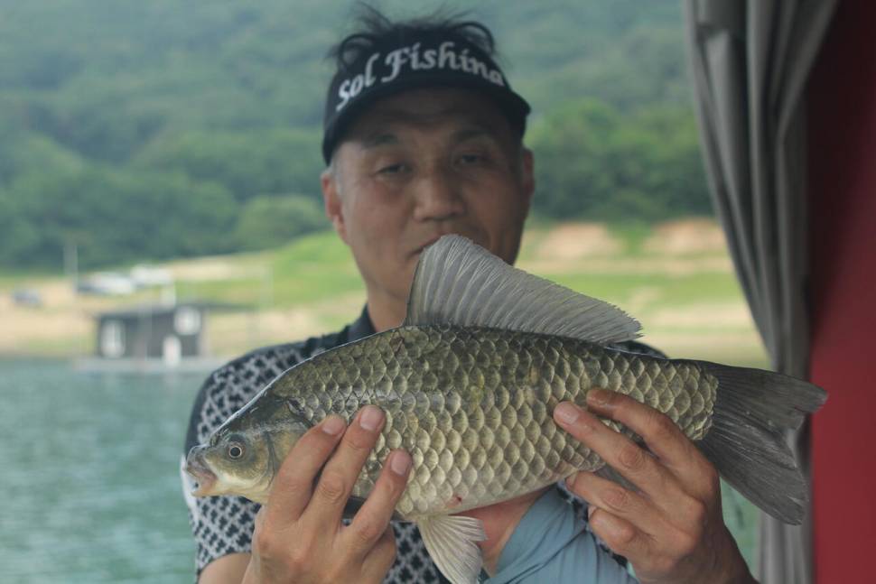 솔낚시터 주말 조황소식입니다 (조황조행기 - 충주호조황속보)