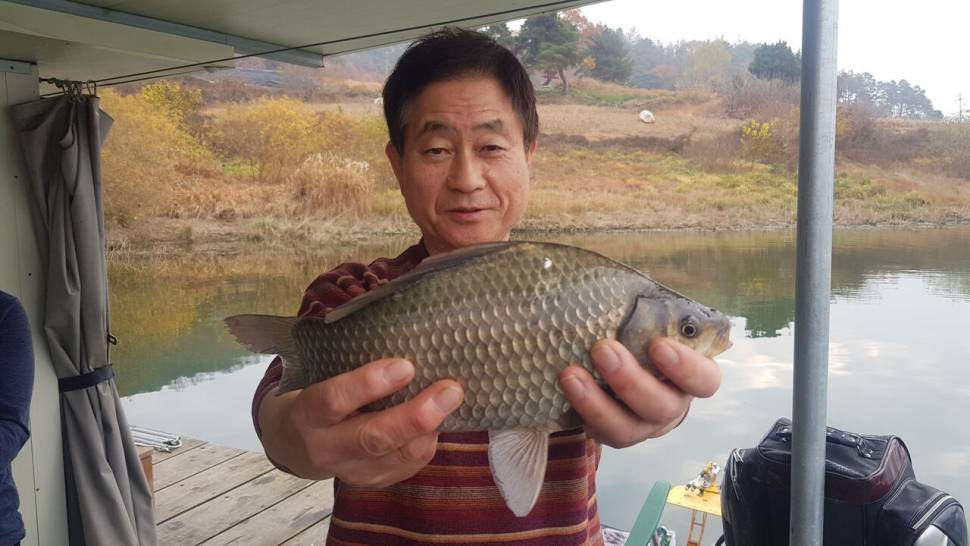청풍호 한버들 조황입니다 (조황조행기 - 충주호조황속보)