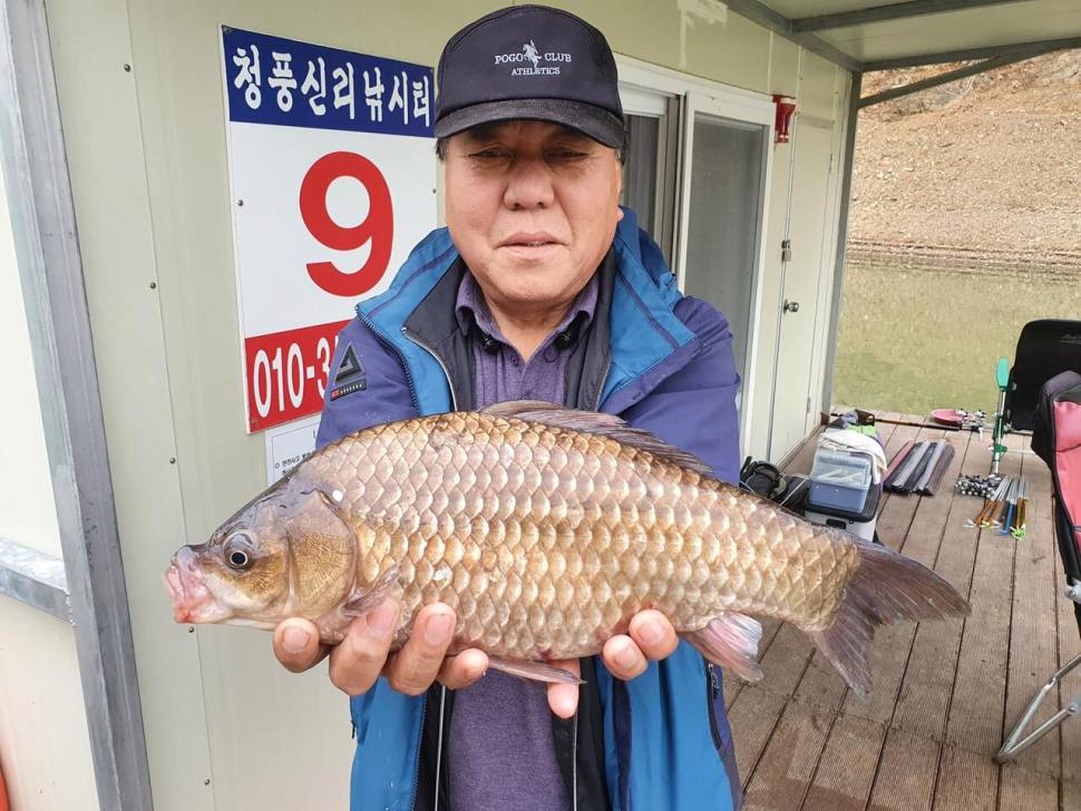 청풍신리낚시터 443cm 조황입니다 (조황조행기 - 충주호조황속보)
