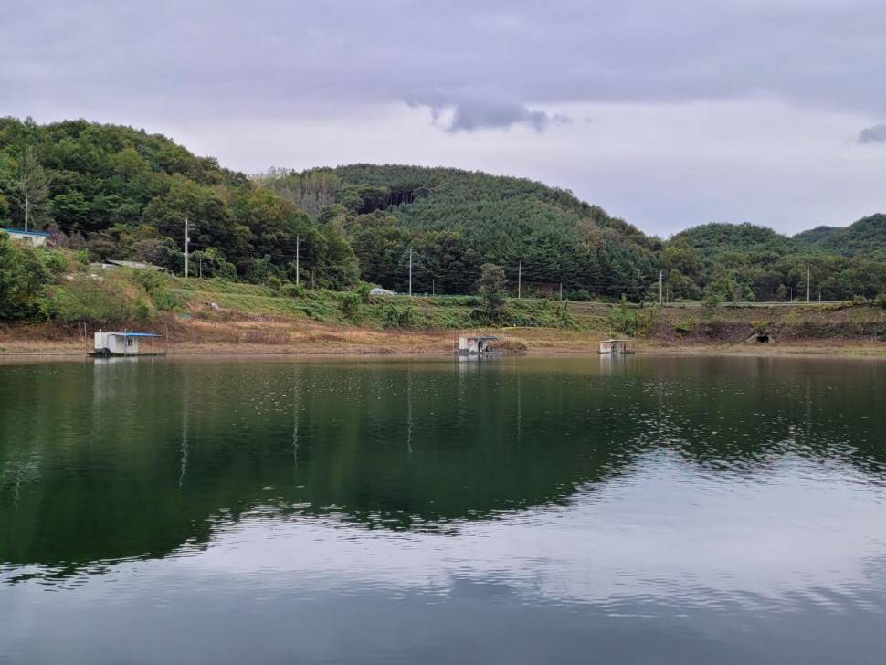 실리곡낚시터 조황입니다 (조황조행기 - 충주호조황속보)