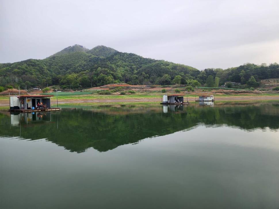 청풍 한버들 조황입니다 (조황조행기 - 충주호조황속보)