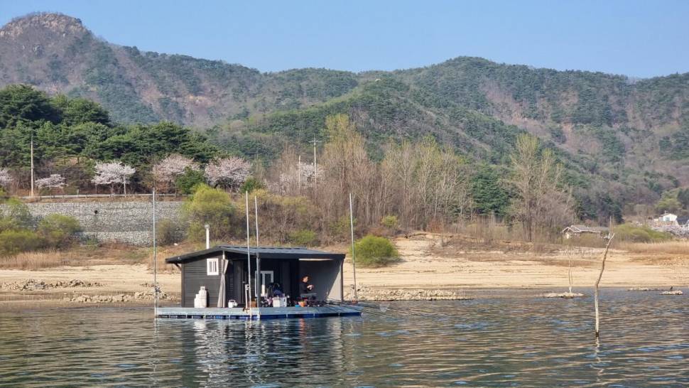 벗꽃비 내리는 솔낚시터 조황 소식입니다 (조황조행기 - 충주호조황속보)