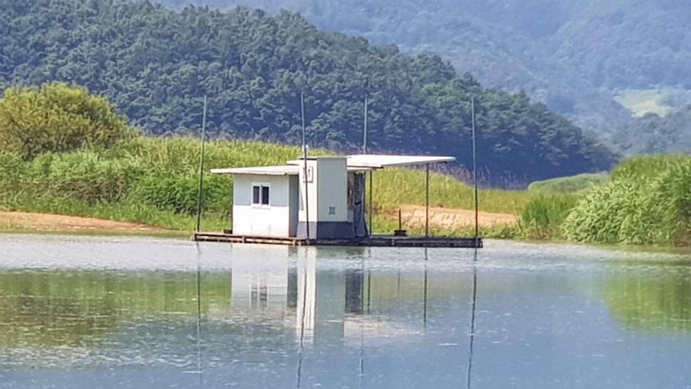 청풍 한버들 낚시터 4짜포함 허릿급 조황입니다 (조황조행기 - 충주호조황속보)