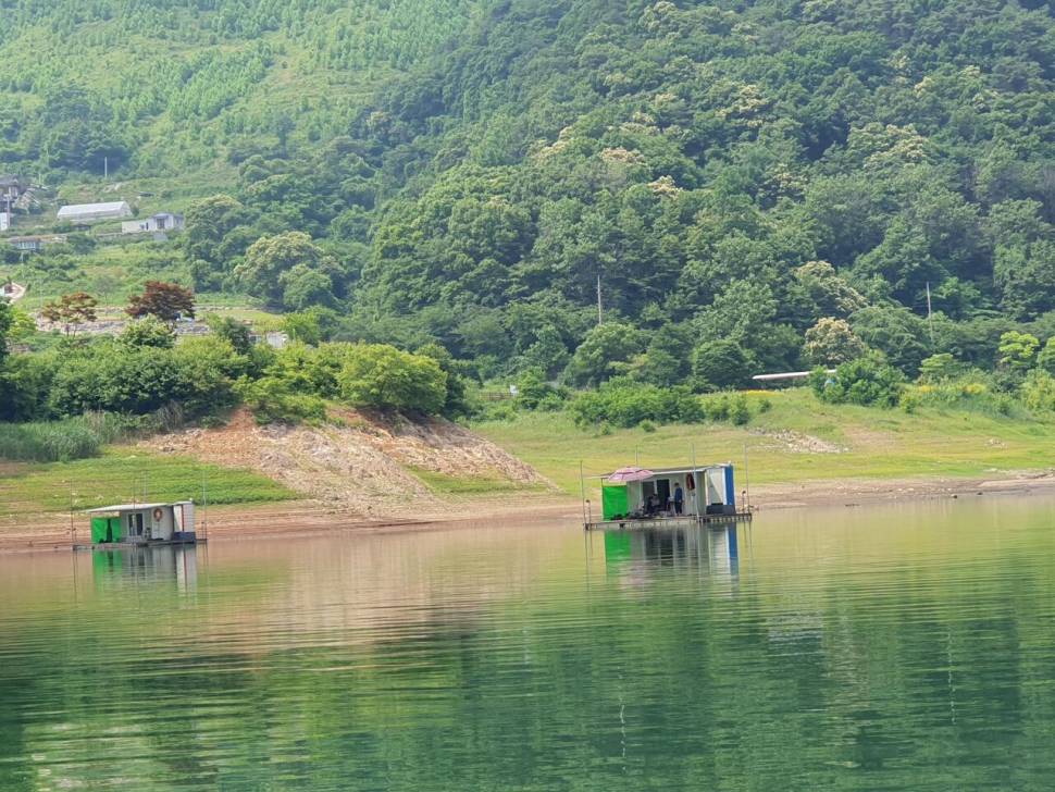 용곡 김기호낚시터 사짜 조황 밉니다 (조황조행기 - 충주호조황속보)