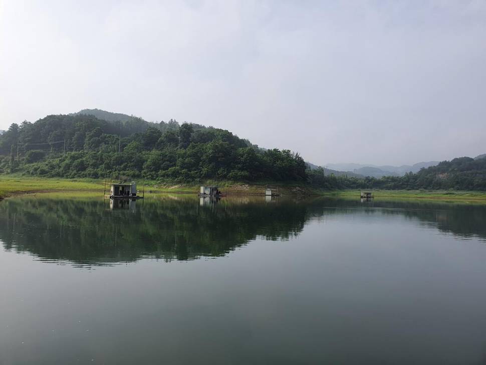 실리곡낚시터 허리급 조황입니다 (조황조행기 - 충주호조황속보)