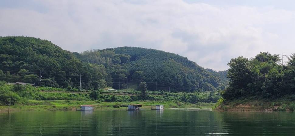 청풍 실리곡낚시터 허리급입니다 (조황조행기 - 충주호조황속보)