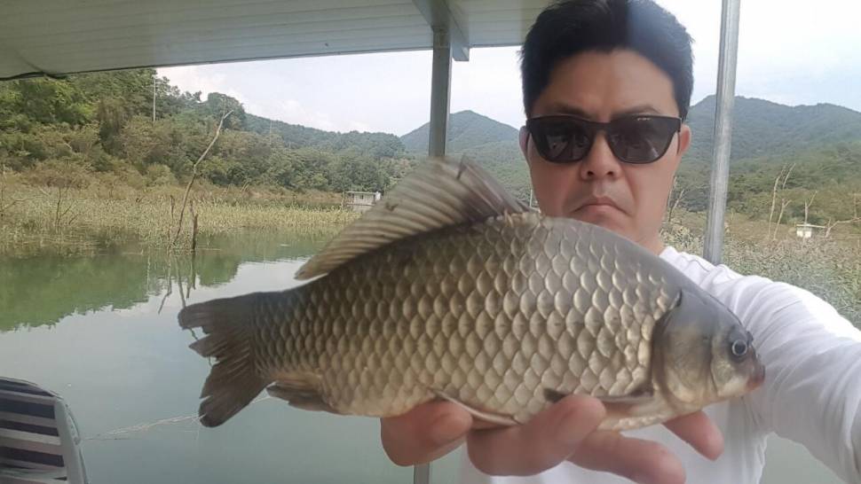 실리곡낚시터 조황입니다 (조황조행기 - 충주호조황속보)