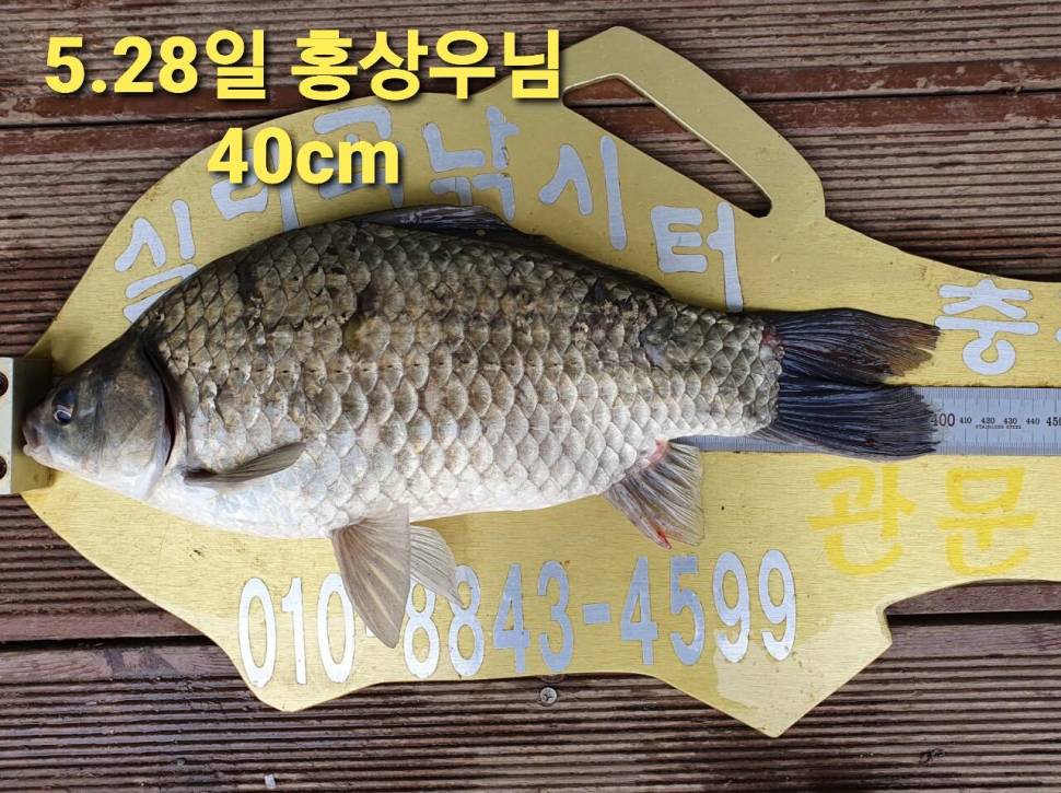 실리곡낚시터 44cm 대물 조황입니다 (조황조행기 - 충주호조황속보)