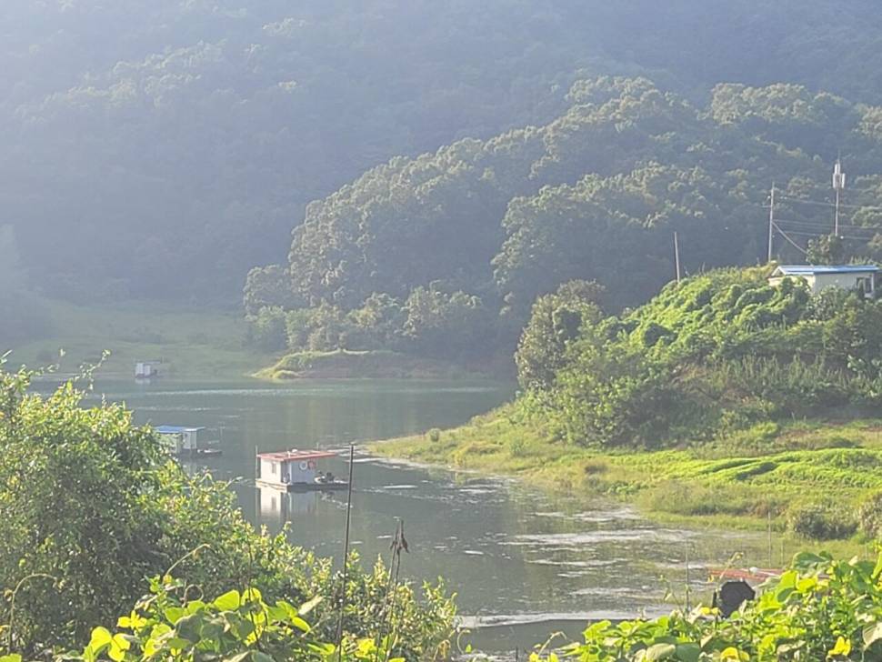 청풍 실리곡낚시터 허리급 조황입니다 (조황조행기 - 충주호조황속보)
