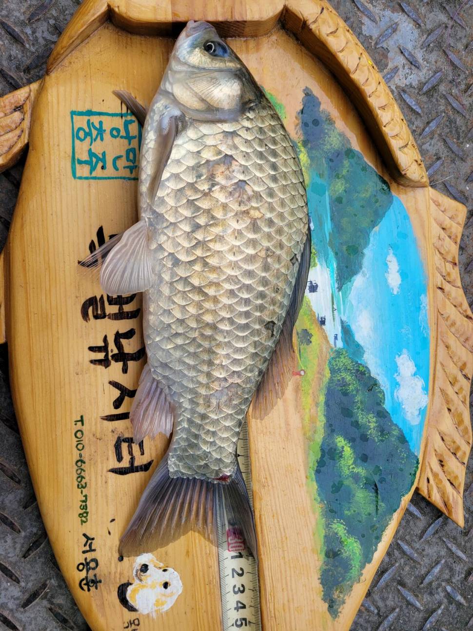 목벌4짜및월척들 주말조황입니다 (조황조행기 - 충주호조황속보)
