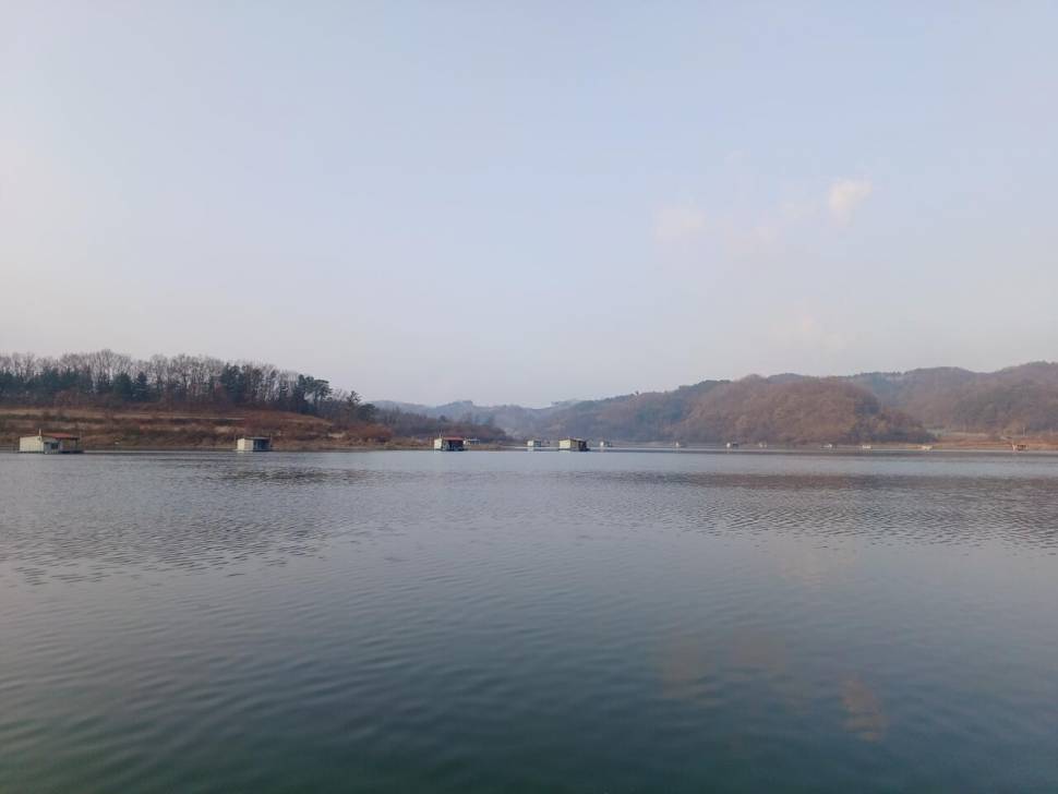 제일낚시터 조황정보 (조황조행기 - 충주호조황속보)
