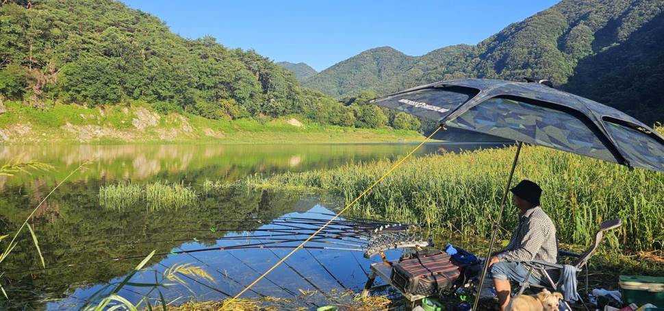 충주 명서낚시터 조황입니다 (조황조행기 - 충주호조황속보)