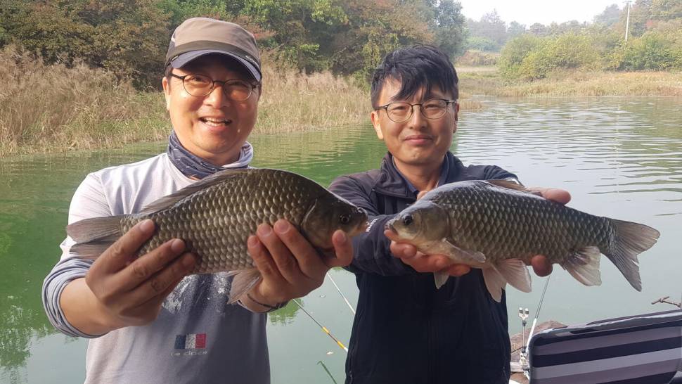 청풍호 한버들 조황입니다 (조황조행기 - 충주호조황속보)