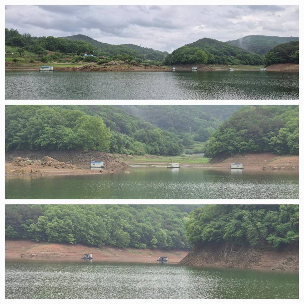 청풍신리낚시터 주말조황 입니다 (조황조행기 - 충주호조황속보)