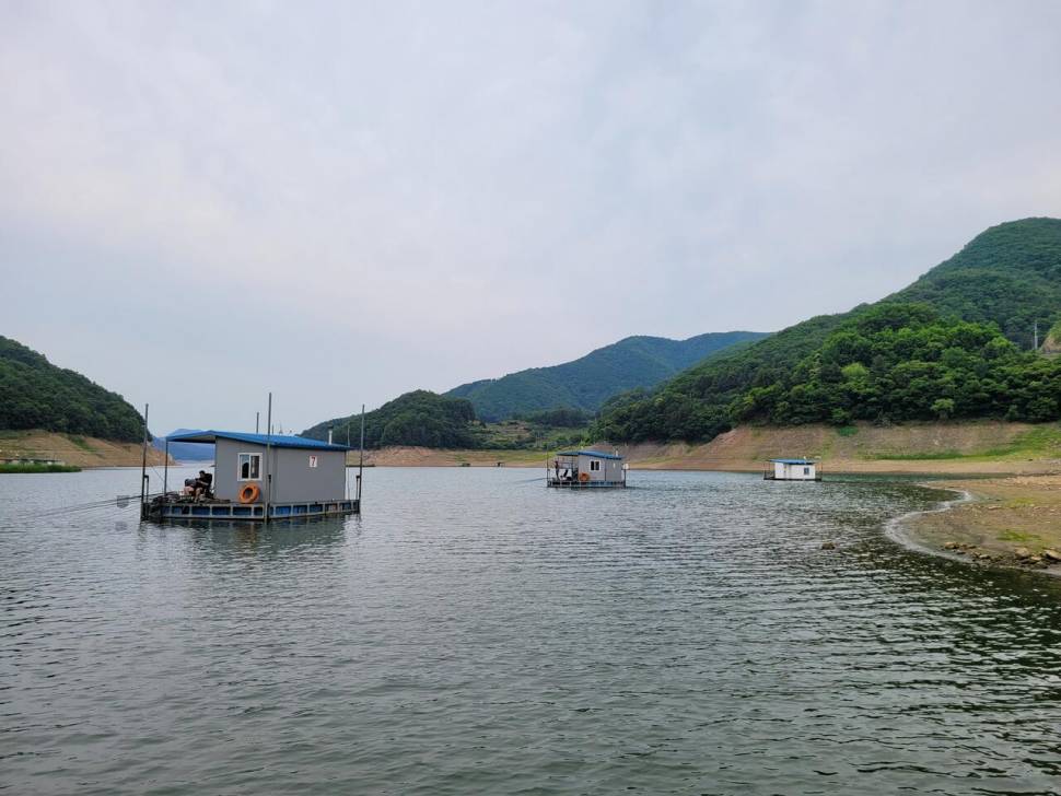 목벌4짜및월척들 주말조황입니다 (조황조행기 - 충주호조황속보)